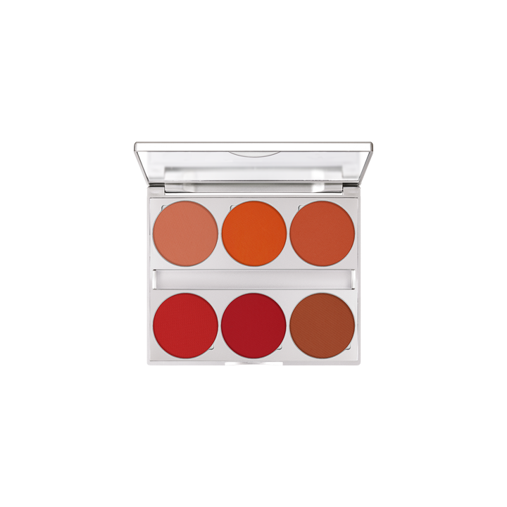 Blusher Palette 6 Colors - paleta róży do polczków