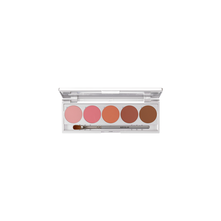 Shades 5 Colors magnetic - paleta cieni