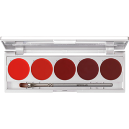 Lip Rouge Set 5 Colors magnetic - szminki do ust