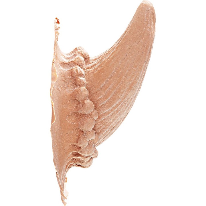 Latex Horns Devil - sztuczne rogi