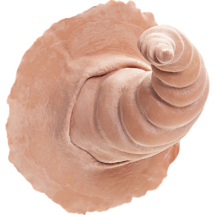 Latex Horns Sylph - sztuczne rogi